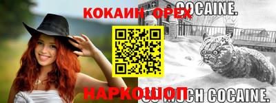 гашик Сланцы