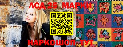 гашик Сланцы